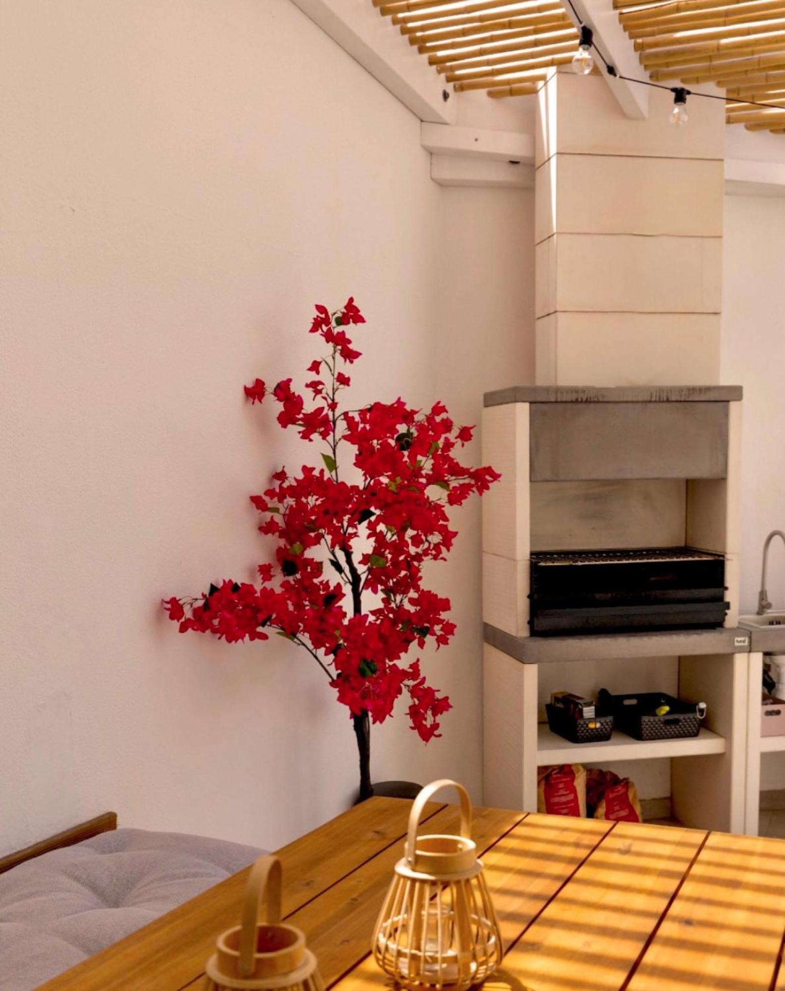 Noho House * Carrapateira